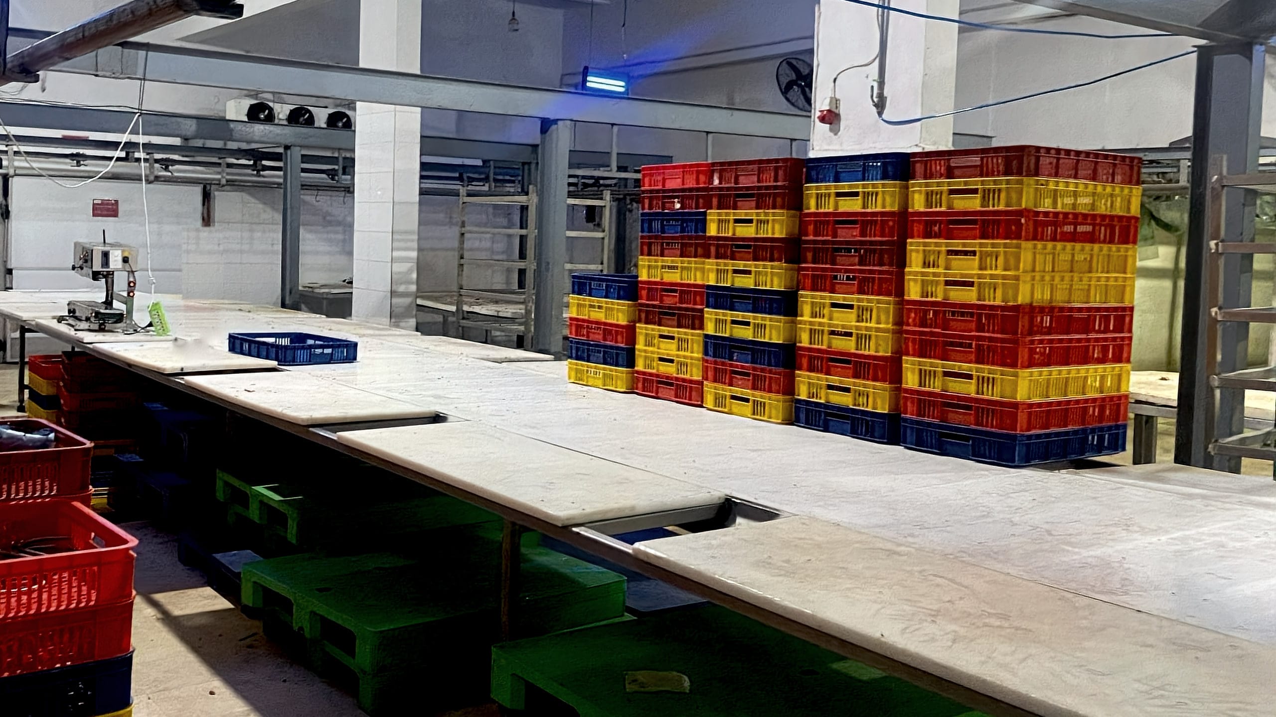 Processing hall with cutting tables, crates and pallets