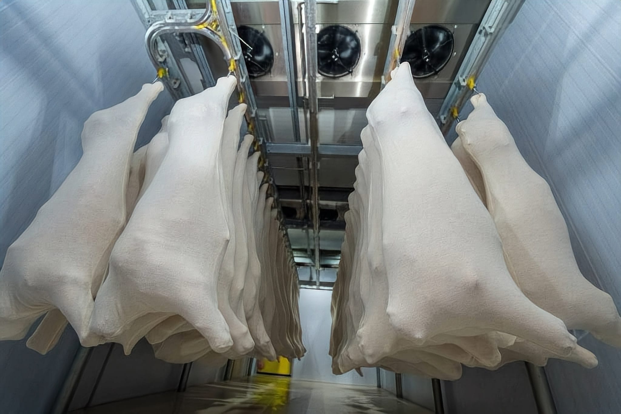Chilled carcasses wrapped in white stockinette on the rail under the chiller fans