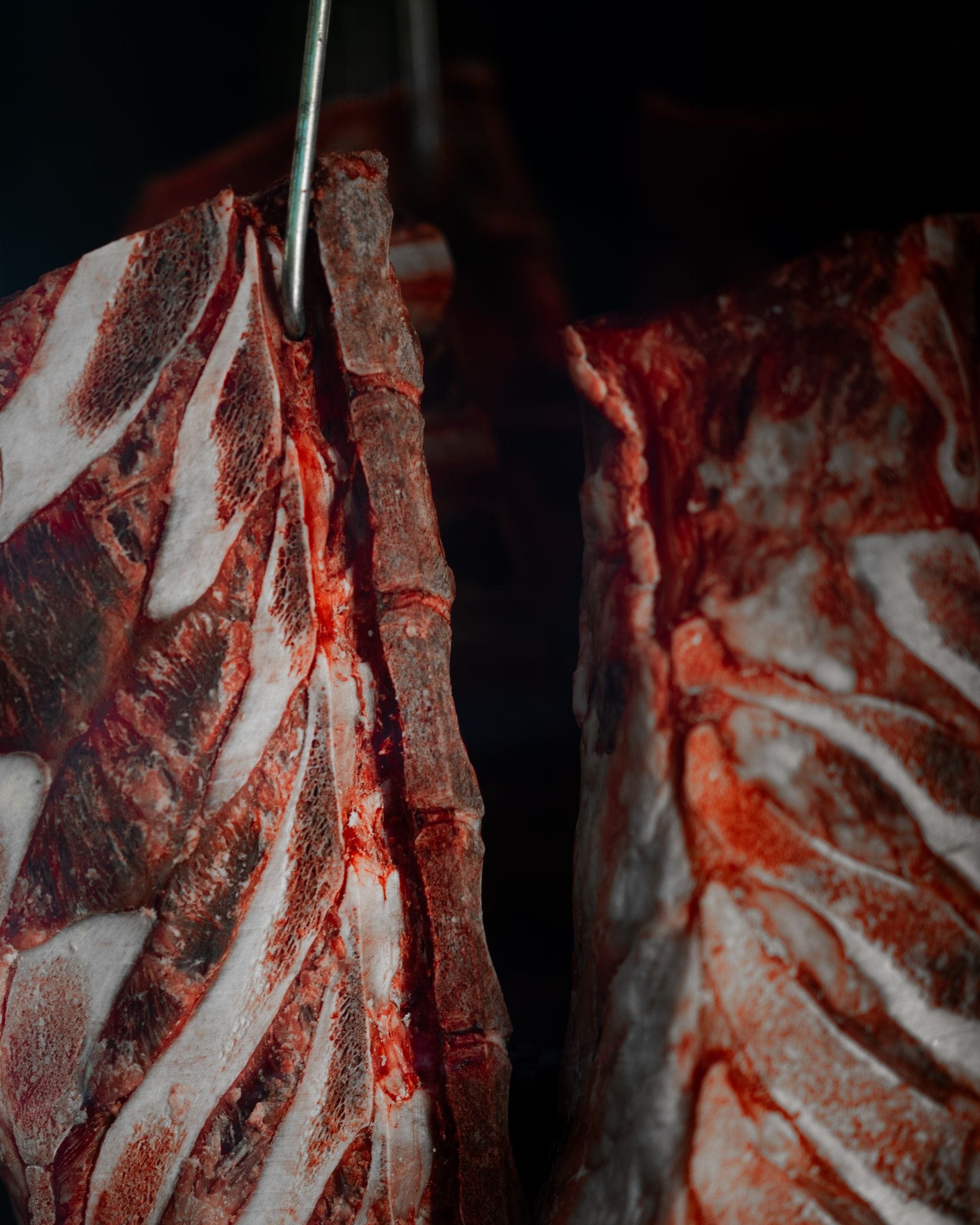 Beef rib sections hanging in a chiller